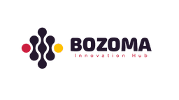 BIH Logo